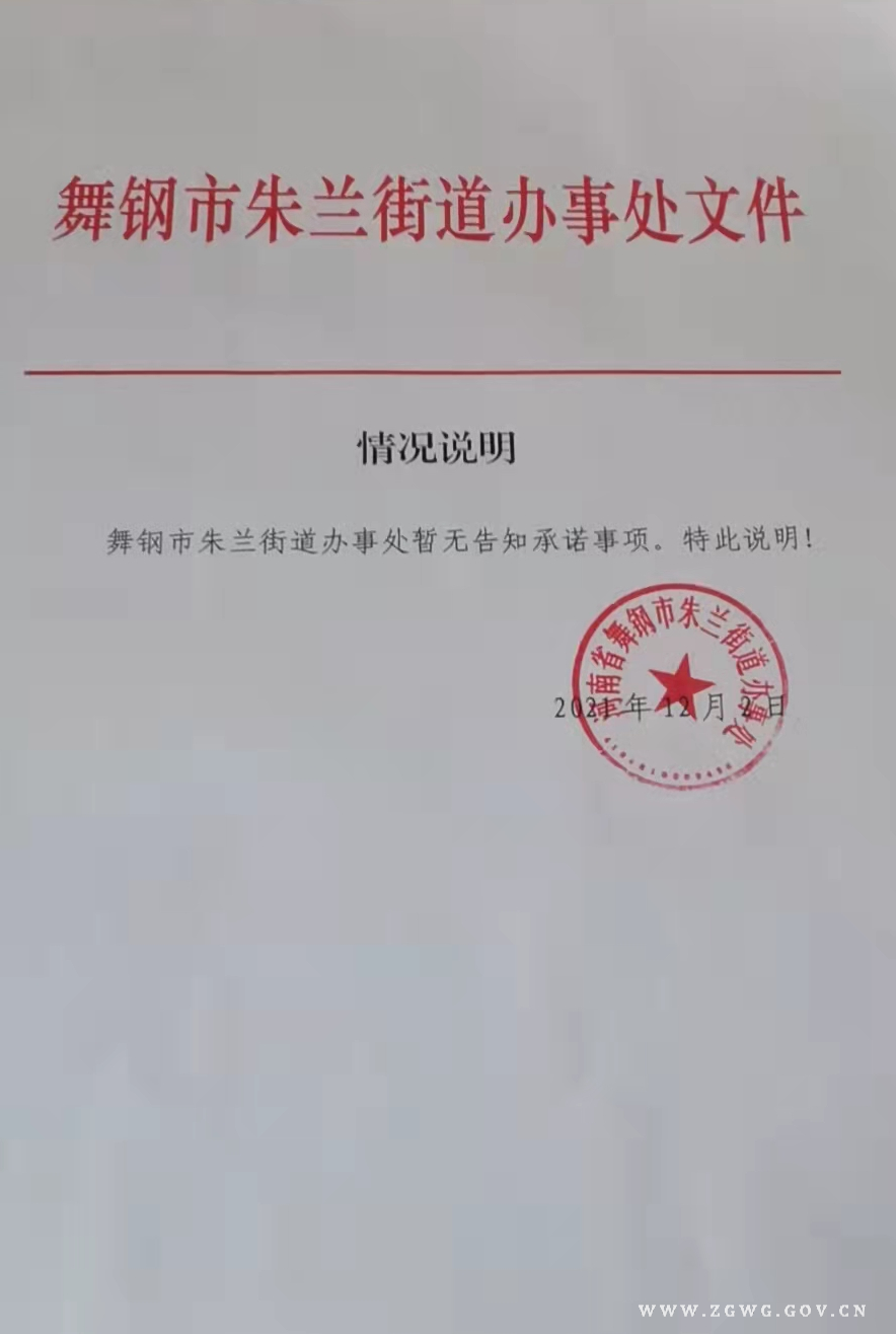 告知承诺事项.png