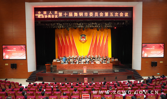 市政协十届五次会议举行第二次全体会议 (2).jpg