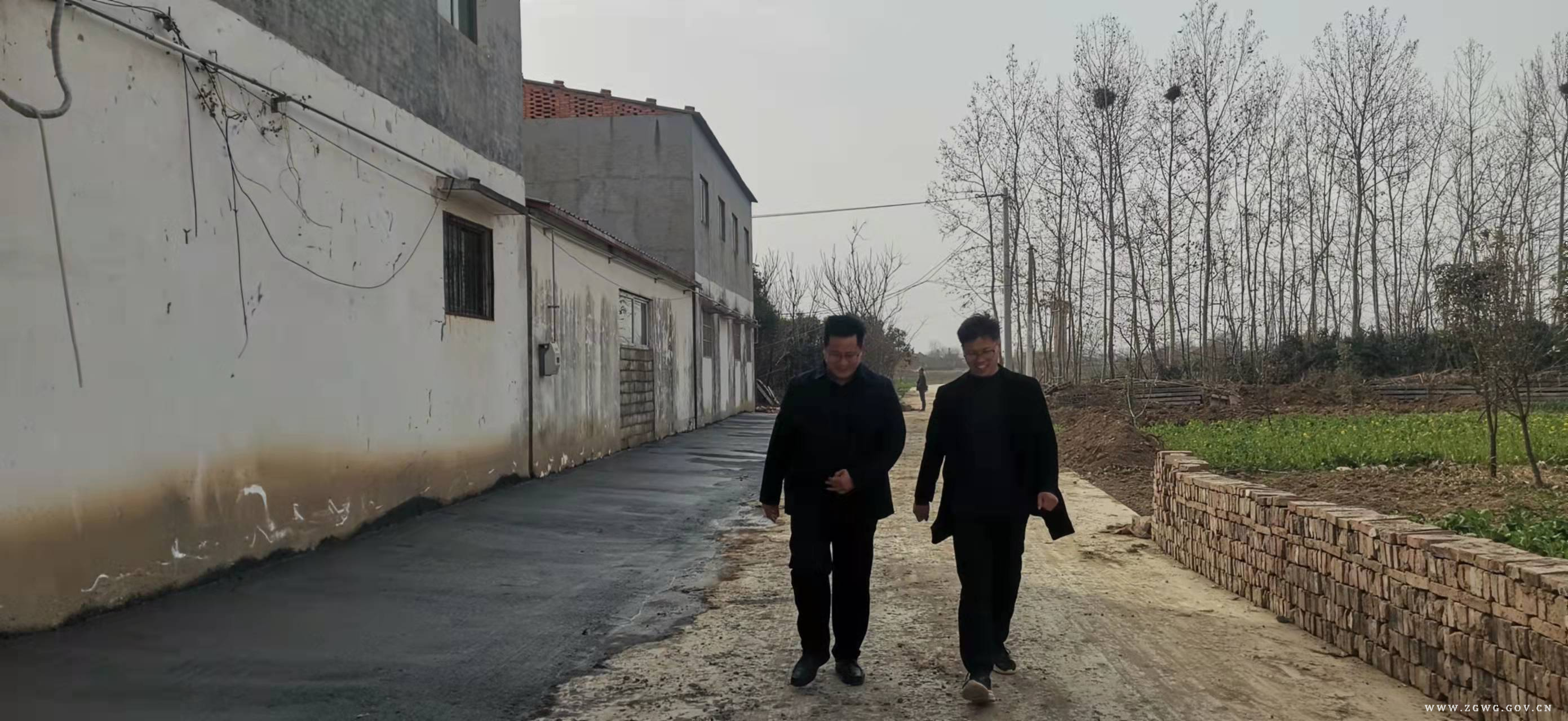 0305zhishu.jpg