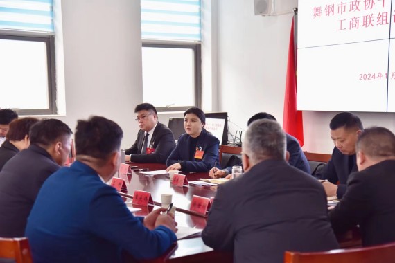 4_何卉参加市政协十一届三次会议工商联组讨论 (2)_副本.jpg