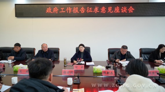 何卉主持召开政府工作报告征求意见座谈会_副本.jpg