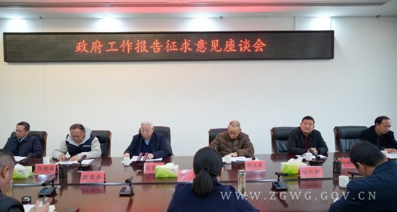 何卉主持召开政府工作报告征求意见座谈会 (2)_副本.jpg